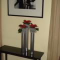 DSC02387.jpg
